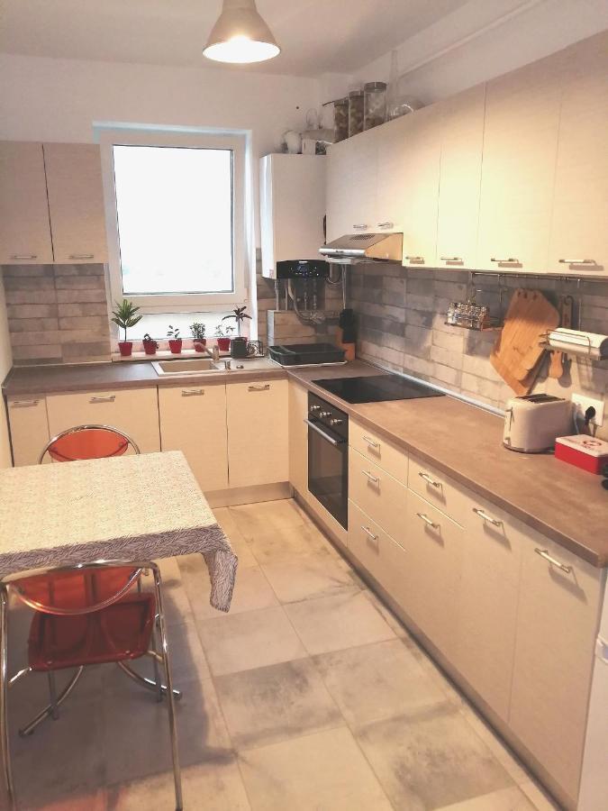 Maurer Loft Apartment Targu Mures Exterior photo